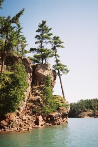 Photograph