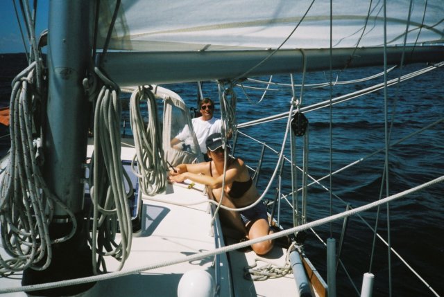 Photograph